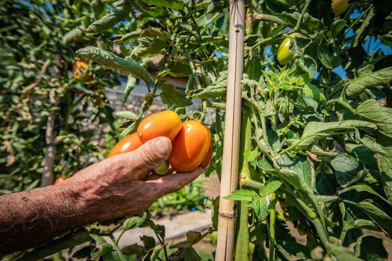 קוסטרמנו Agriturismo La Pertica מראה חיצוני תמונה