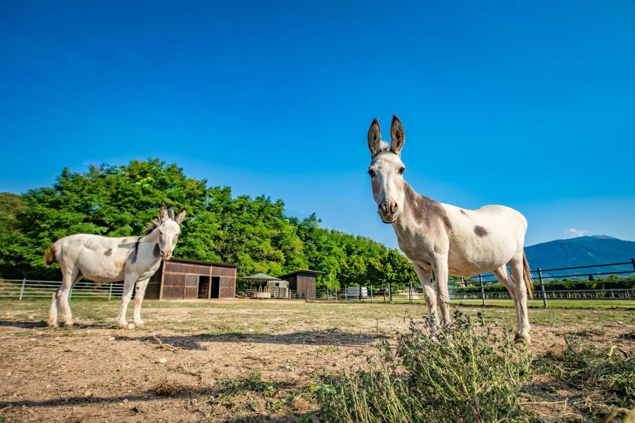 קוסטרמנו Agriturismo La Pertica מראה חיצוני תמונה
